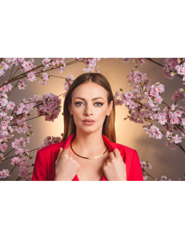 Gold-plated stainless steel choker – minimalist design