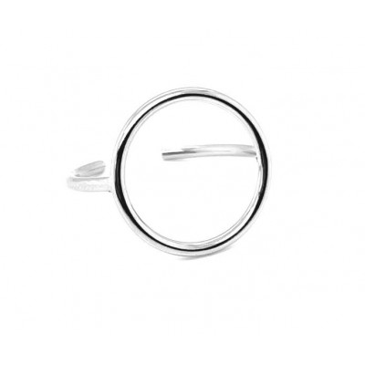 Delicate stainless steel ring