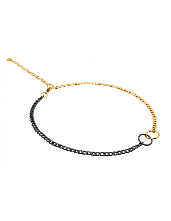 Delicate gold-plated stainless steel necklace in gold and matte black tones.