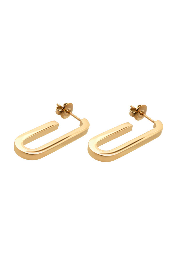 Gold stainless steel earrings
