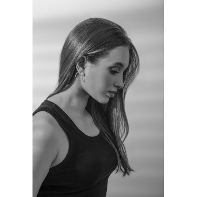 Gold-plated stainless steel 2-in-1 earring set 2