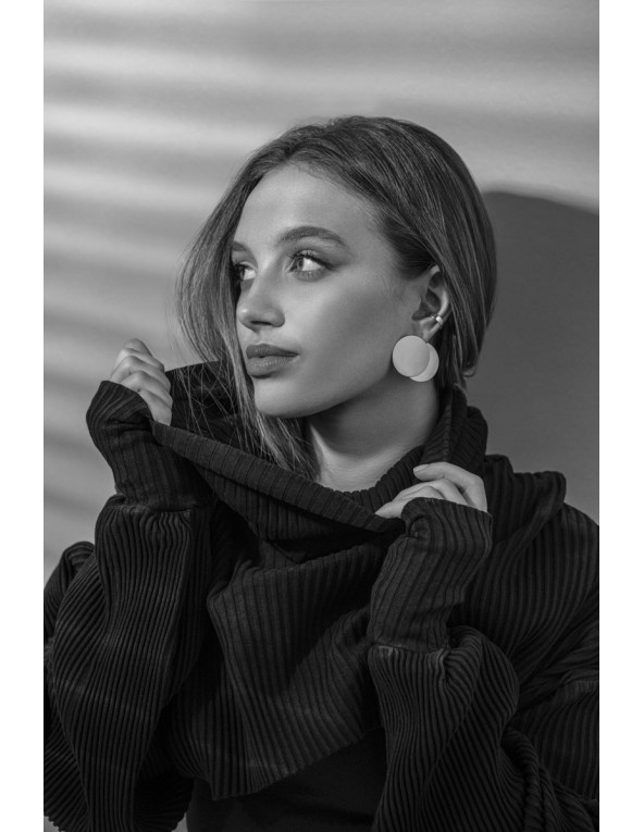 Shiny stainless steel hoop disc earrings, silver