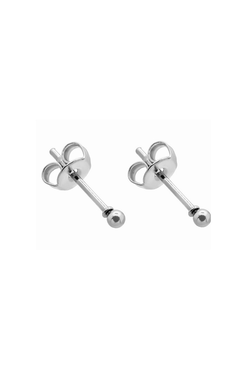 Silver 2 mm stainless steel ball stud earrings with a polished finish.