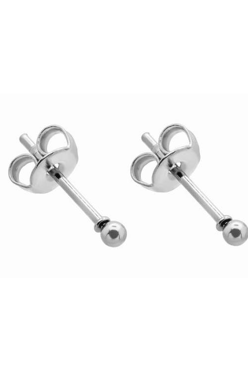 Silver 2 mm stainless steel ball stud earrings with a polished finish.
